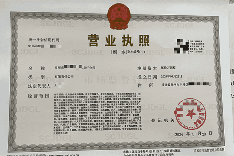 泉州网络公司的兴起与成长